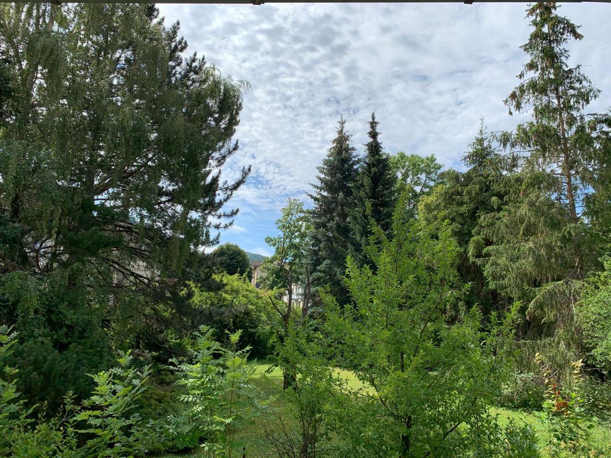 Appartement An Der Radau Bad Harzburg Εξωτερικό φωτογραφία